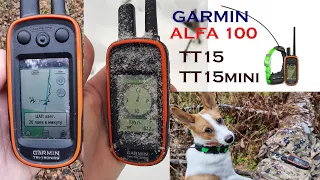 Обзор комплекса слежения за собаками GARMIN ALFA 100 с ошейниками ТТ15/ТТ15 mini