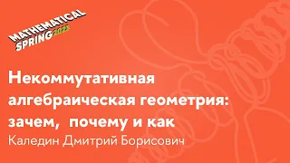 Д. Б. Каледин | Некоммутативная  алгебраическая геометрия: зачем,  почему и как