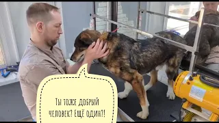 A message from Moscow from the Blind Dog Serko. How does he live there? What he eats, what he drinks