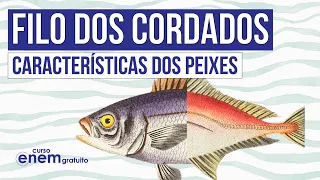 FILO DOS CORDADOS: características dos peixes | Biologia para o Enem | Cláudia de Souza Aguiar