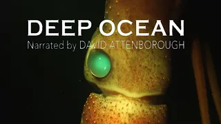 David Attenborough | Monterey Bay | Deep Ocean | Life in the Abyss