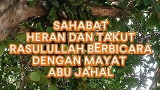 KISAH RASULULLAH YANG BERBICARA DENGAN MAYAT ABU JAHAL