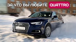 Доставил Audi A4 Avant Quattro из Германии - хороший вариант на каждый день