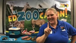 Zoo Classroom: Reptacular Adventures