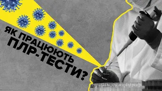 ПЛР-тести, або полімеразна ланцюгова реакція. Як це працює?