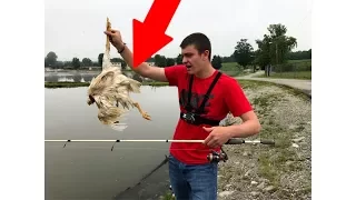 You'll NEVER Believe What We Found in a Public Pond!