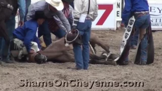 Horse Killed at Cheyenne Rodeo Graphic