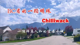 BC省的一颗明珠-Chilliwack(奇利瓦克/奇里瓦克/奇村)