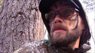 2016 WHITETAIL DEER SEASON - EARLY BOW SEASON OVERVIEW