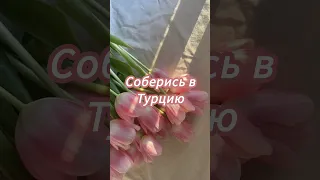 соберись в Турцию #выбери #выбирашки #рекомендации #vs #создай #shortvideo #рек #топ #bock ❤💓👈