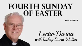 Lectio Reflection - Fourth Sunday of Easter - John 10:11-18