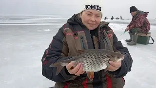 Нашли хорошую СОРОГУ и окуня! Классная рыбалка по последнему льду!