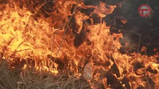 За поджог сухой травы задержан житель нашего округа