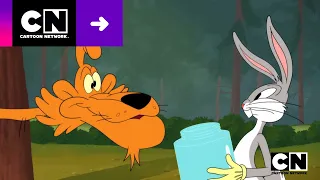 PROBLEMAS COM O PUMA | LOONEY TUNES CARTOONS | CARTOON NETWORK