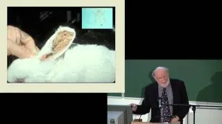 Prof William Campbell - The Story of Ivermectin