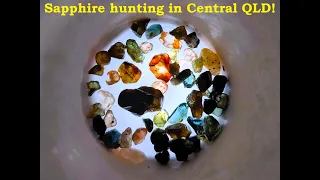 Fossicking for Sapphires in the Central QLD Gemfields!