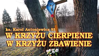 W krzyżu cierpienie, w krzyżu zbawienie, w krzyżu Miłości nauka / Gregorianus