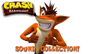 Crash Bandicoot Sound Effect Collection! (HQ)