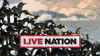 BBC Earth Experience Narrated By David Attenborough | Live Nation UK