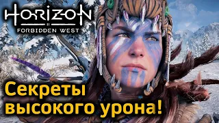 Horizon Forbidden West | Как повысить урон | И что для этого нужно | 8 принципов высокого урона