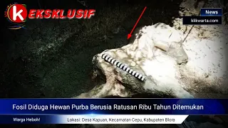 Penemuan Fosil Diduga Hewan Purba Berusia Ratusan Ribu Tahun (Eksklusif)