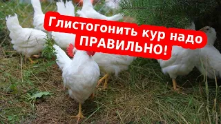 Глистогонить кур от паразитов// Альбен в таблетках инструкция