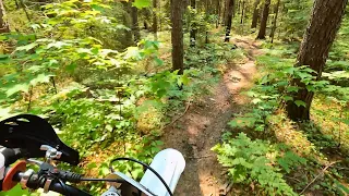 Tight trails, Mud & Sunshine !