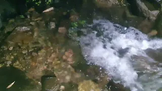 Evening Calming River Over Stones. Relaxing Nature Sounds. (1 hours). White Noise for Sleeping