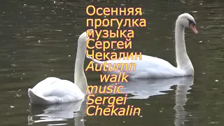 Осенняя прогулка.  Музыка Сергея Чекалина. Autumn Walk. Music by Sergei Chekalin.