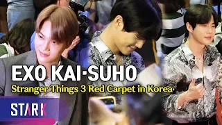 EXO KAI·SUHO, 'Stranger Things 3' Red Carpet in Korea (엑소 카이·수호, 월드 스타의 레드카펫)