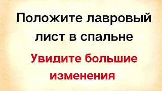 Положите лавровый лист в своей спальне и увидите большие изменения у себя | Тайна Жрицы