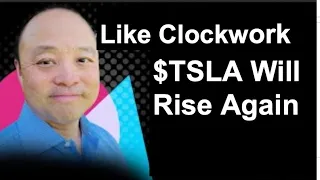 Tesla Stock Crushed Along with Nasdaq and Magnificent 7. Brian Wang Is Bullish in Spite of Carnage
