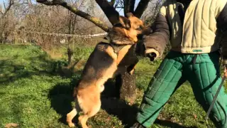 La Castagnola Training Defense (Addestramento Di Difesa)