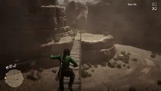 Red Dead Online Bridge Glitch on PC