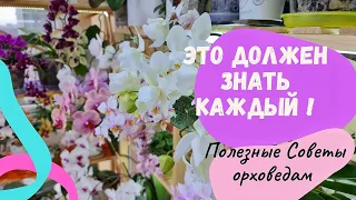 Делайте ТАК, и вы избежите потерь корневой системы у орхидей.Секрет как НЕ терять орхидеи.