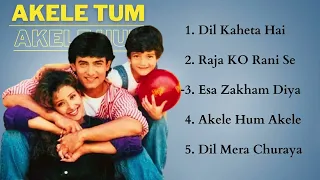 Akele Hum Akele Tum Movie All Songs  |Aamir Khan & Manisha Koirala| HINDI MOVIE SONGS