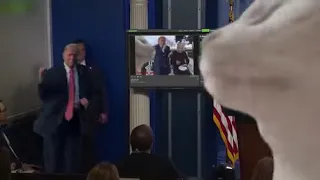 Donald Trump press conference (cat vibing Trump dance meme)