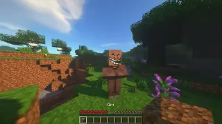 I gave villagers creative mode