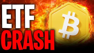 Is Bitcoin DOOMED to CRASH?