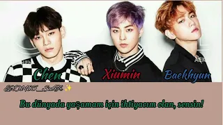 (Türkçe çeviri) EXO-CBX (엑소- 첸백시) İn This World