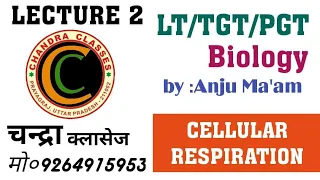 LECTURE-2 || CELLULAR RESPIRATION || LT,TGT,PGT GIC || BY ANJU MAM