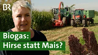 Alternative zu Mais: Sorghumhirse in Biogasanlagen | Klimawandel | Unser Land | BR