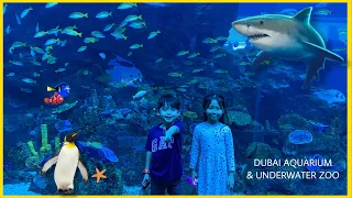 Dubai Aquarium & Underwater Zoo 2021 | Dubai Fountain View