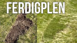 Ferdigplen: alt du trenger å vite