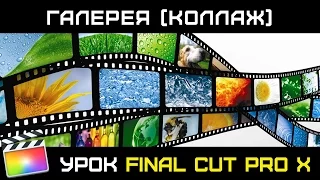 КОЛЛАЖ ГАЛЕРЕЯ  в Final Cut Pro X. Монтаж галереи в Final Cut Pro X без плагинов