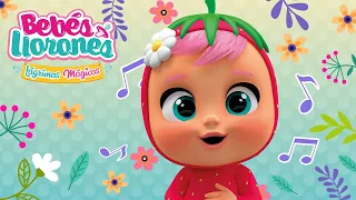 ❤️🎤 CONFIA EN TI 🎤❤️ KARAOKE 🎶 BEBÉS LLORONES 💧 LÁGRIMAS MÁGICAS 💕 DIBUJOS ANIMADOS