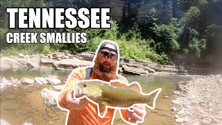 CRYSTAL CLEAR Tennessee Creek SMALLMOUTH Fishing Below WATERFALL