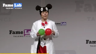 Immune system on a diet - Panagiota Mamareli - FameLab Germany Final 2017