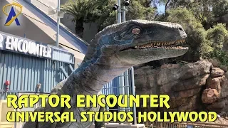 Raptor Encounter with Blue in Jurassic World at Universal Studios Hollywood