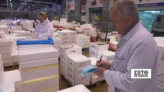 El arduo trabajo nocturno en el mercado internacional de Rungis